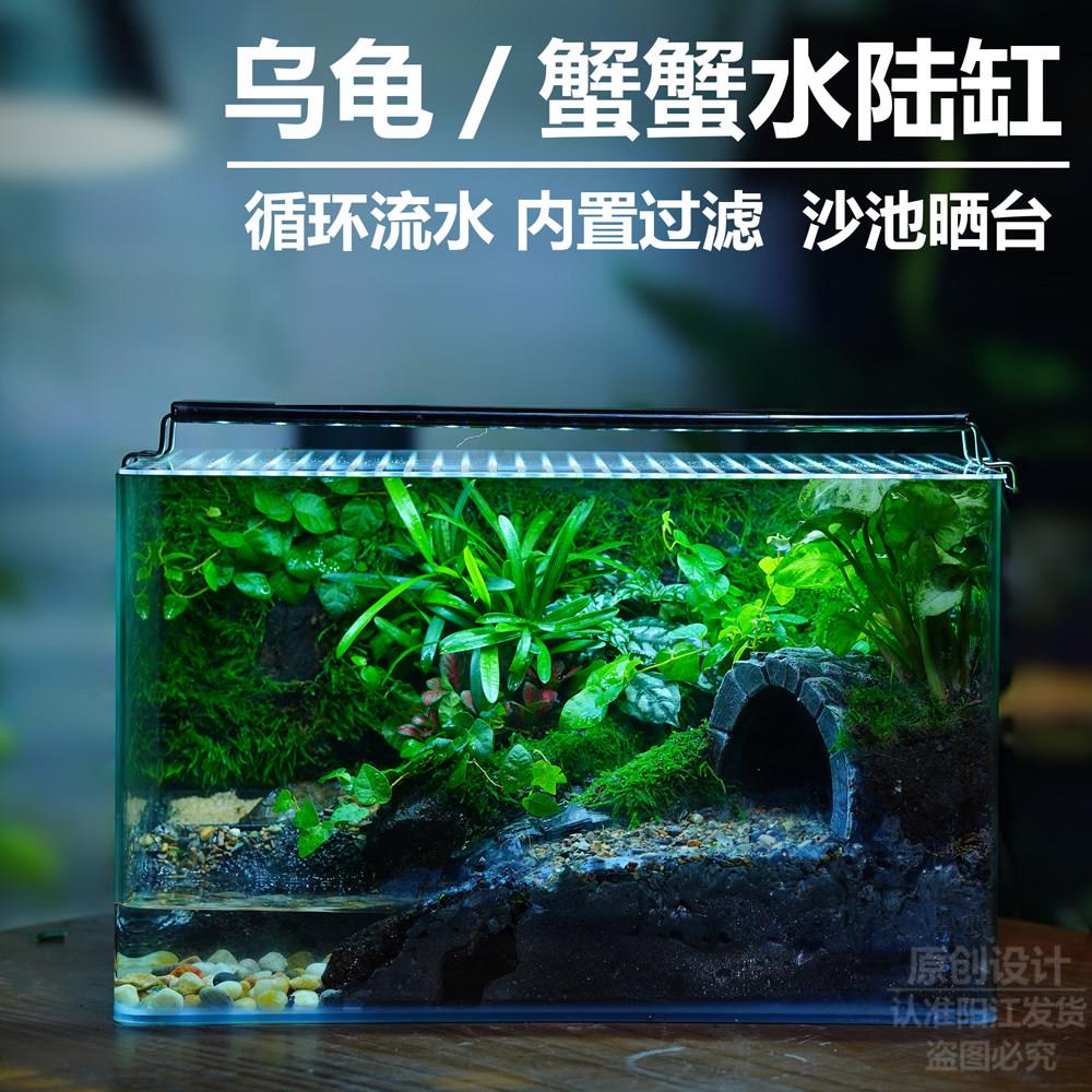 乌龟生态缸造景组装雨林缸生态缸鱼缸微景观盆景循环流水草缸成品