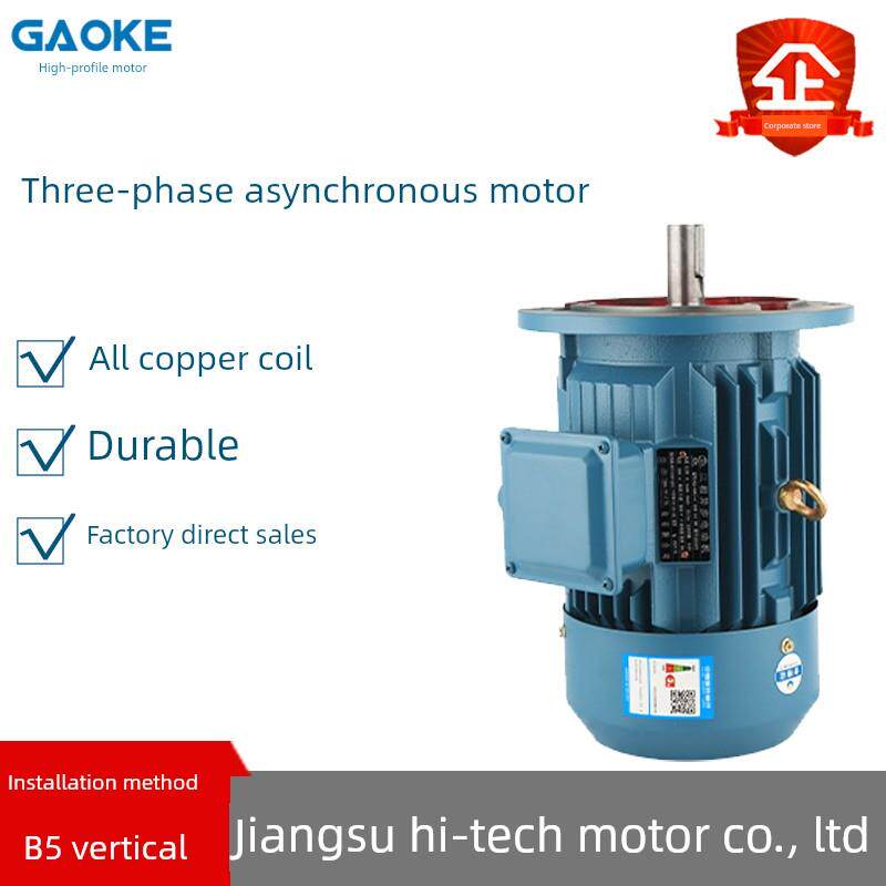 江苏高科Ye3三相异步电动机立式法兰B5纯铜国标交流电动机380V