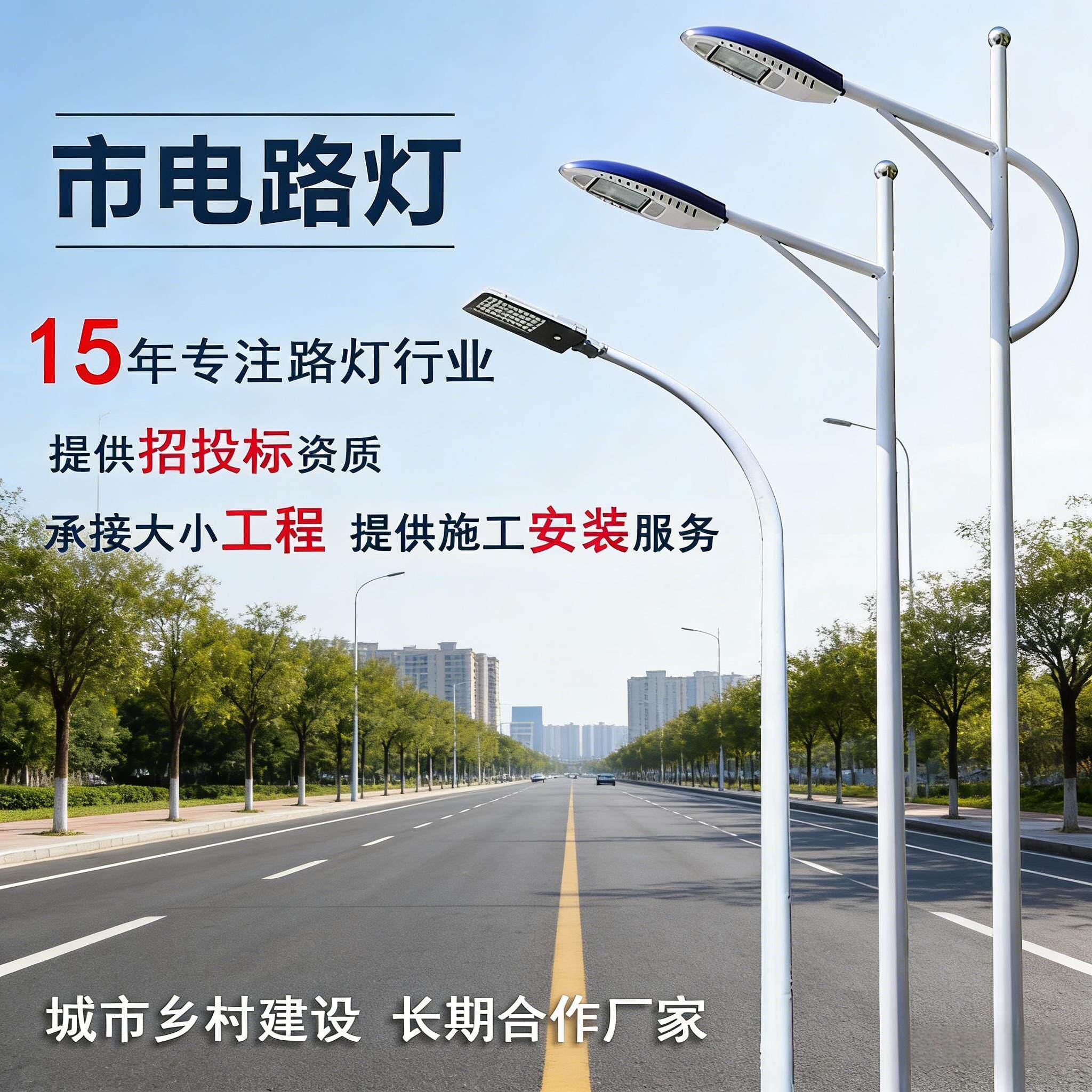 LED市电路灯6米户外防水市政道路照明高杆灯新农村单臂双臂路灯杆