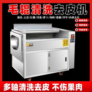 商用土豆去皮机 全自动洋芋脱皮机 大型毛辊清洗设备