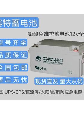 赛特BT-12M-100/12V100AH65A40A38A24A20A17A12A7A消防主机蓄电池