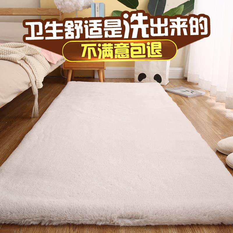 地毯卧室ins风可机洗毛绒双层加厚客厅衣帽间儿童房可拆洗地毯