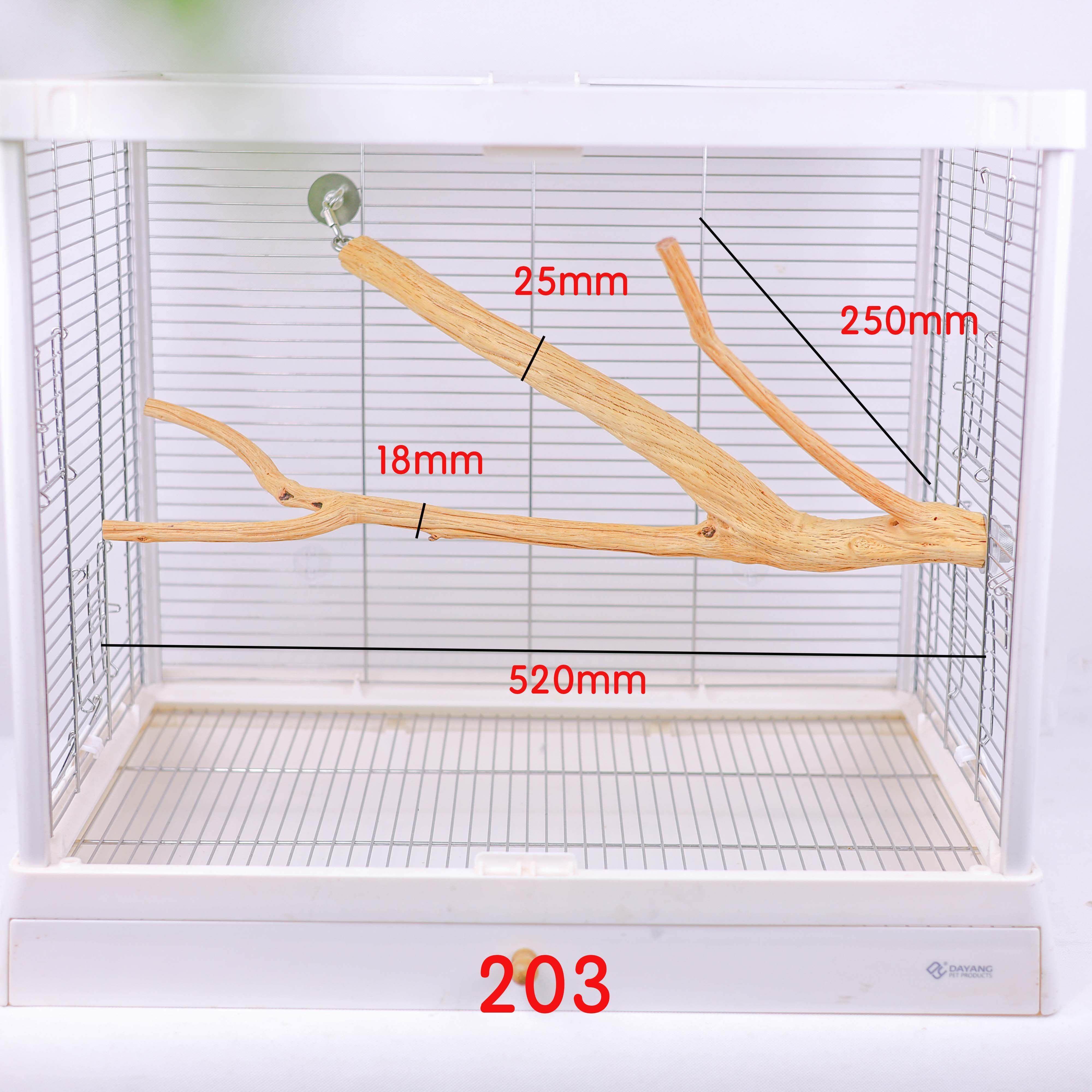 【大型异形1】红玉鹦鹉立杆野梨木原木异形鸟实木立杆树枝宠物咀