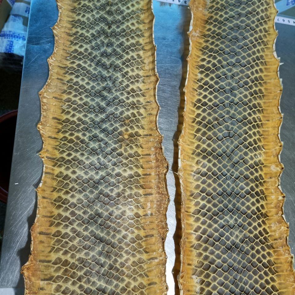 花皮白黄花皮南皮可蒙越胡主胡京胡京二胡坠胡等乐器琴皮