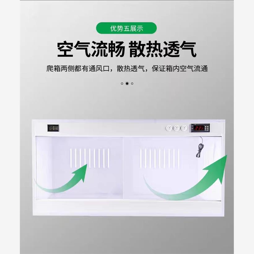 鹦鹉芦丁鸡脱温保温饲养箱虎皮玄凤角蛙龟蛇守宫鬃狮智能控温箱