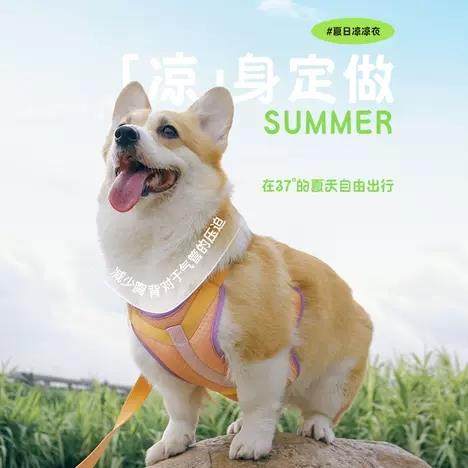 TUFFHOUND宠物胸背带狗狗牵引绳背心式中小型犬泰迪法斗遛狗绳子