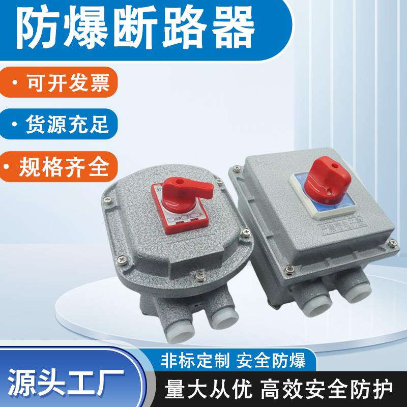 防爆断路器2P3P控制箱IIBIIC带漏电保护空开10A32A配电箱空箱定做
