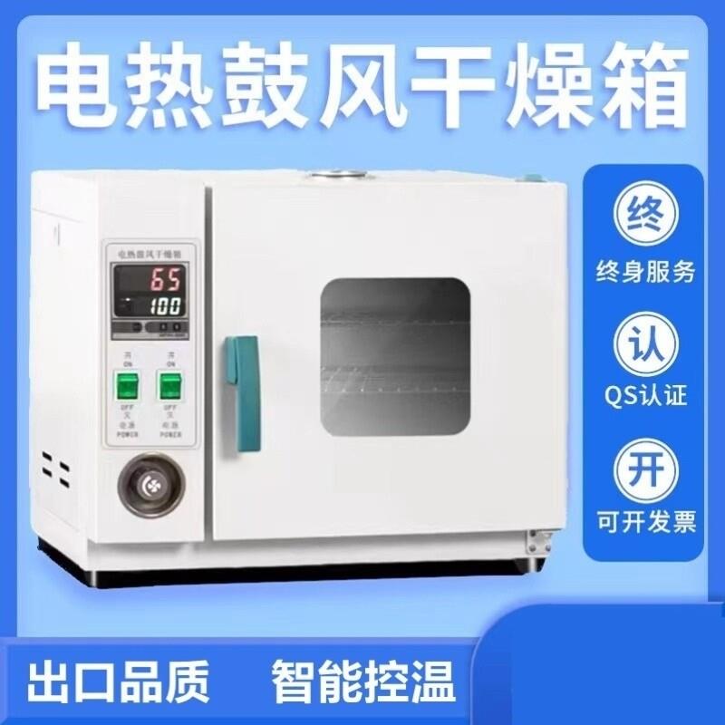 电热鼓风干燥箱恒温烘箱实验室老化烘干箱小型工业高温烤箱烘干机图片