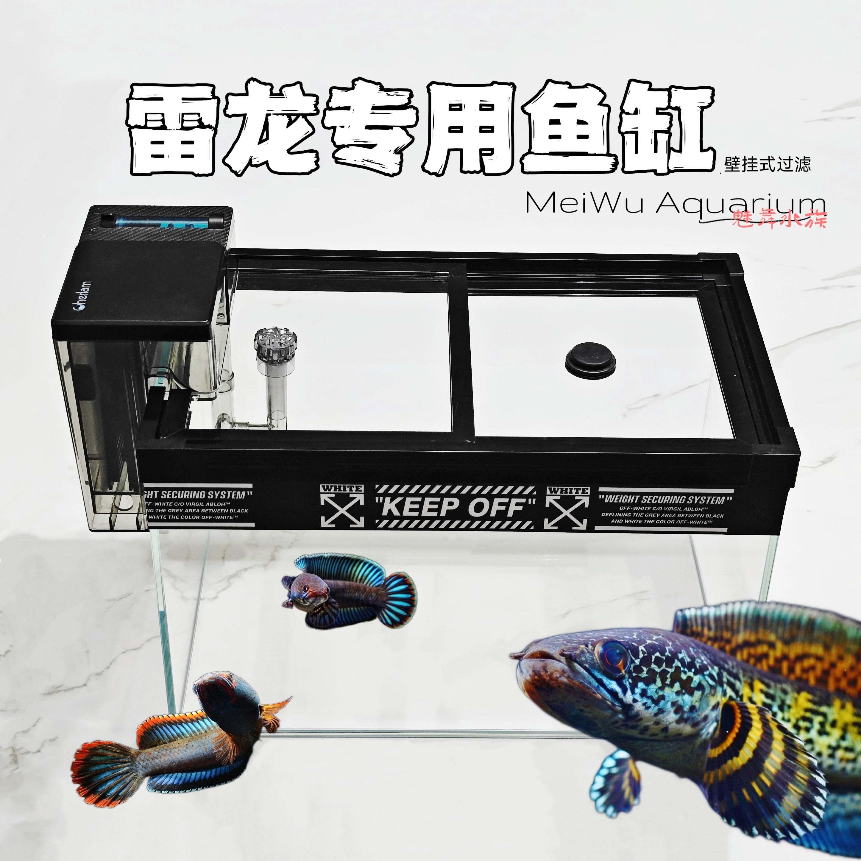 雷龙专用鱼缸桌面玻璃方形壁挂侧滤尼奥灯家用小型缸防跳龟全封闭