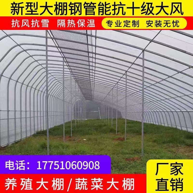 温室大棚骨架钢管农用蔬菜简易大棚配件大全养殖大棚骨架钢管全套