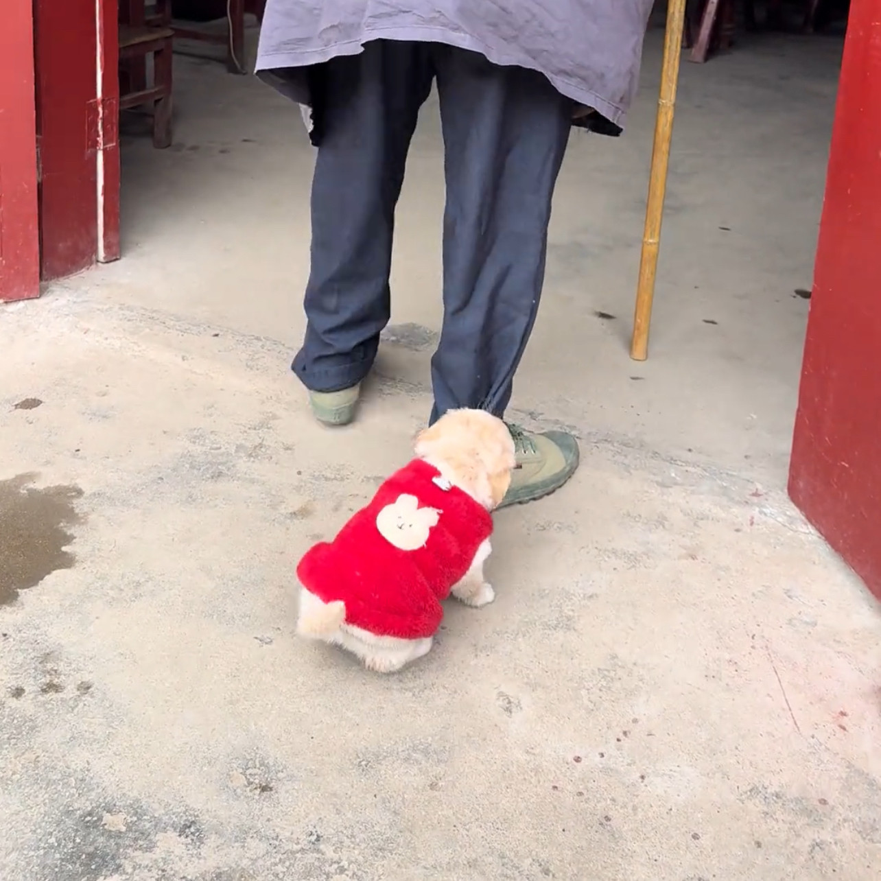 狗狗红色衣服冬季无袖保暖背心可爱小型犬猫咪通用毛茸茸背心
