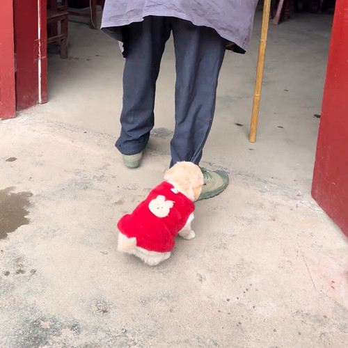 狗狗红色衣服冬季无袖保暖背心可爱小型犬猫咪通用毛茸茸背心