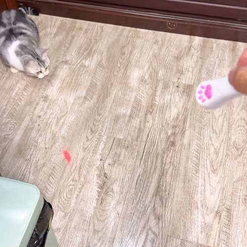 互动宠物逗猫笔猫咪2026宠物玩具猫爪激光逗猫棒红外线