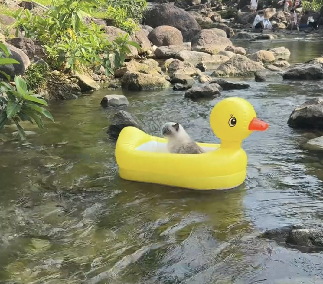 小黄鸭儿童宠物小船婴幼儿充气浴盆游泳圈浮排气垫游泳池海洋球池