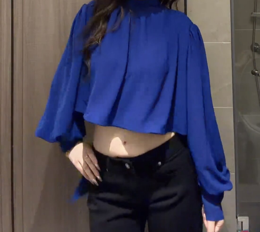秋季休闲气质宽松设计感显瘦短款上衣法式蓝色半高领长袖衬衫女