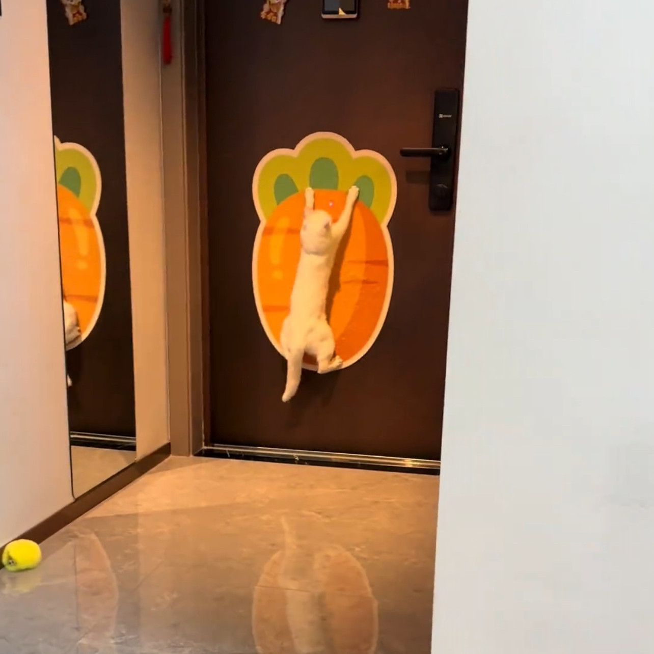 猫抓板壁挂式可粘贴防猫抓立式贴纸猫咪自嗨可爱胡萝卜图案,宠物/宠物食品及用品,猫抓板,淘宝优惠券,粉丝福利购,淘宝优惠卷