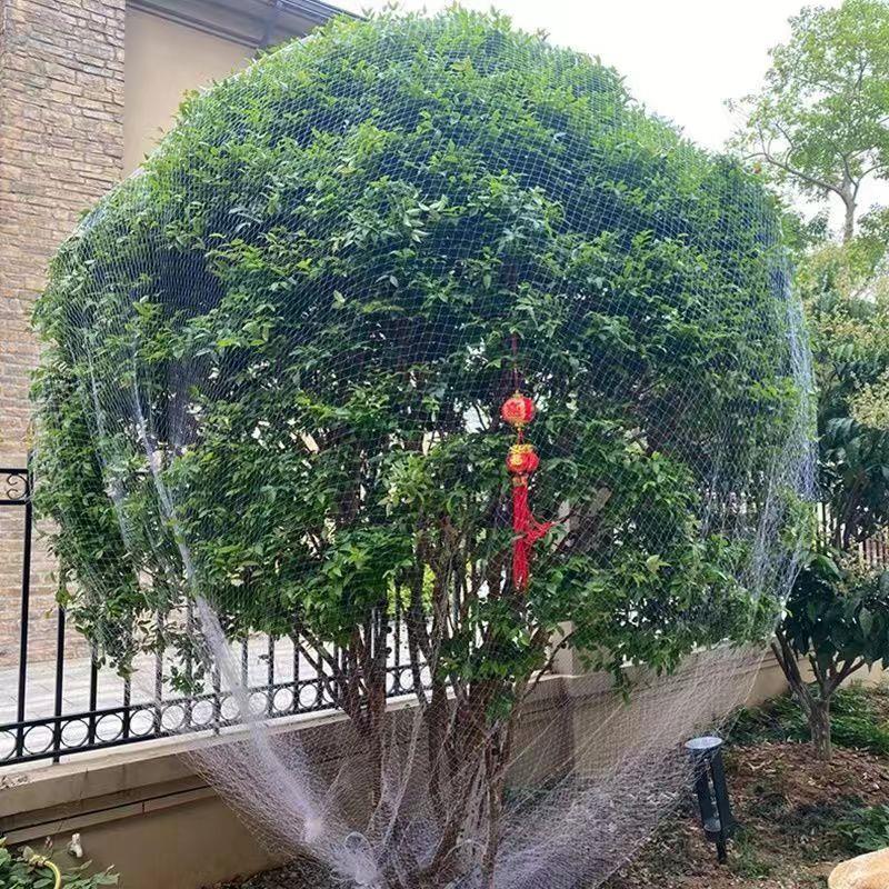 大棚嘉宝果防鸟罩樱桃防鸟网尼龙套袋网果树葡萄网袋桃树网纱果园