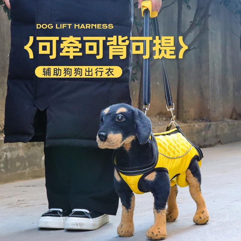 多功能狗狗辅助衣高龄老年犬身心障碍犬康覆锻炼带上楼宠物小型犬