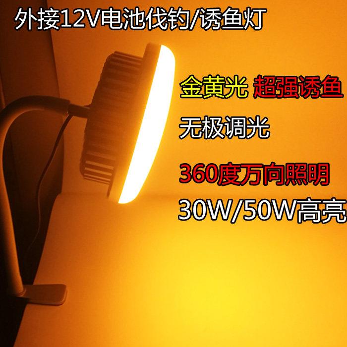 筏钓灯诱鱼灯黄光大功率集鱼灯水下灯聚鱼灯防水超亮专用led灯