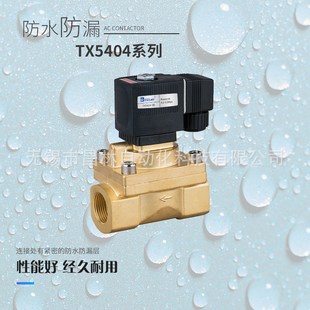 5015高压船用耐高温电磁水阀JEL气阀TX5I404 SB116