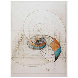 现代简约海螺黄金分割几何图案客厅房间卧室挂画壁画无框画装饰画