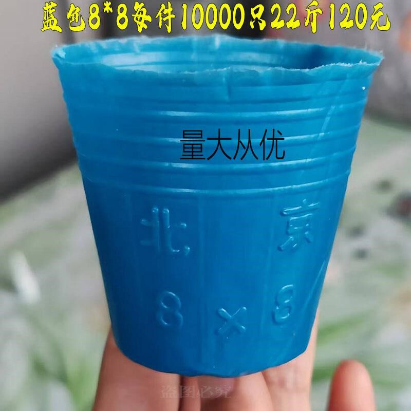 育苗杯塑料优防老化草莓育苗袋育苗盆育苗袋育秧碗塑X料蓝色营养