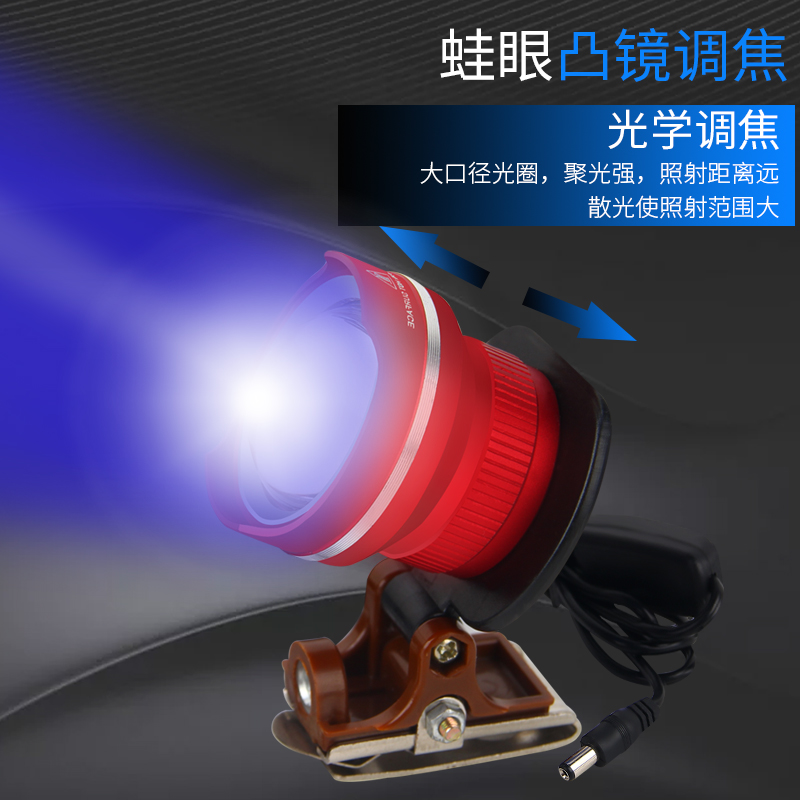 新款可调焦钓鱼灯头超亮夜钓灯黄光蓝光灯钓O箱灯头诱鱼灯钓鱼用