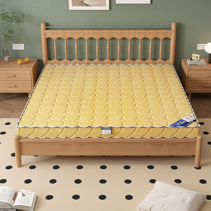 床垫椰棕偏硬护腰护脊纯棕榈10厘米折叠床垫对折租V房专用纯总垫