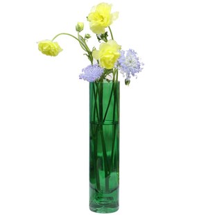 简约厚底泡绿色玻璃n花瓶大号富贵竹水养插花圆形直筒婚礼客厅摆