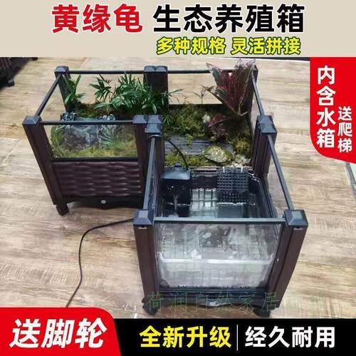 水陆两栖专用饲养箱陆龟半水龟缸生态造景箱角娃金蟾宠物鳄养殖箱