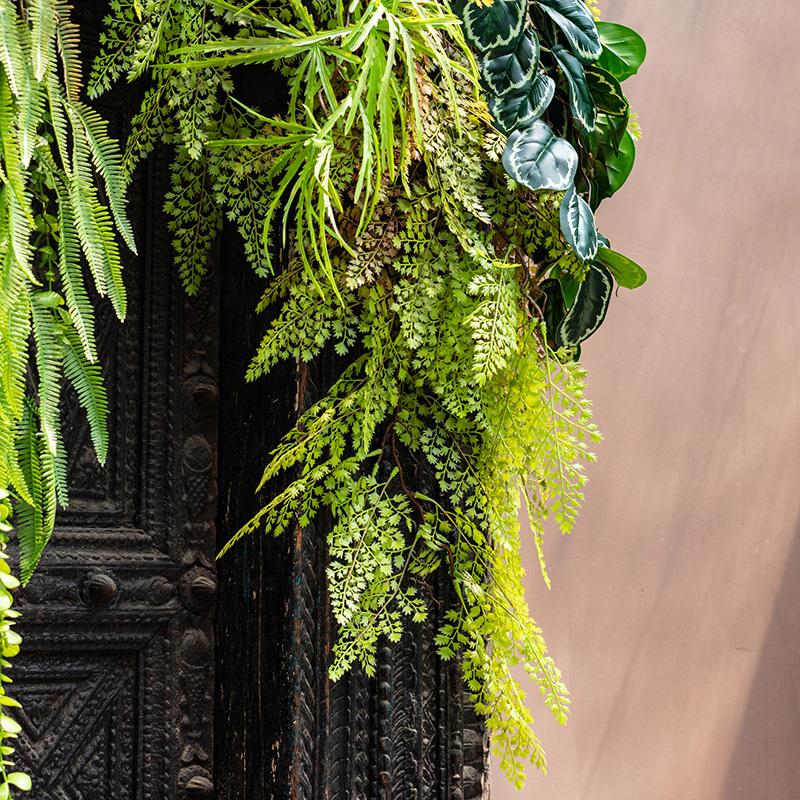 掬涵仿真蕨类秋色铁线蕨植物壁挂遮挡吊兰绿植花艺森系装饰藤条