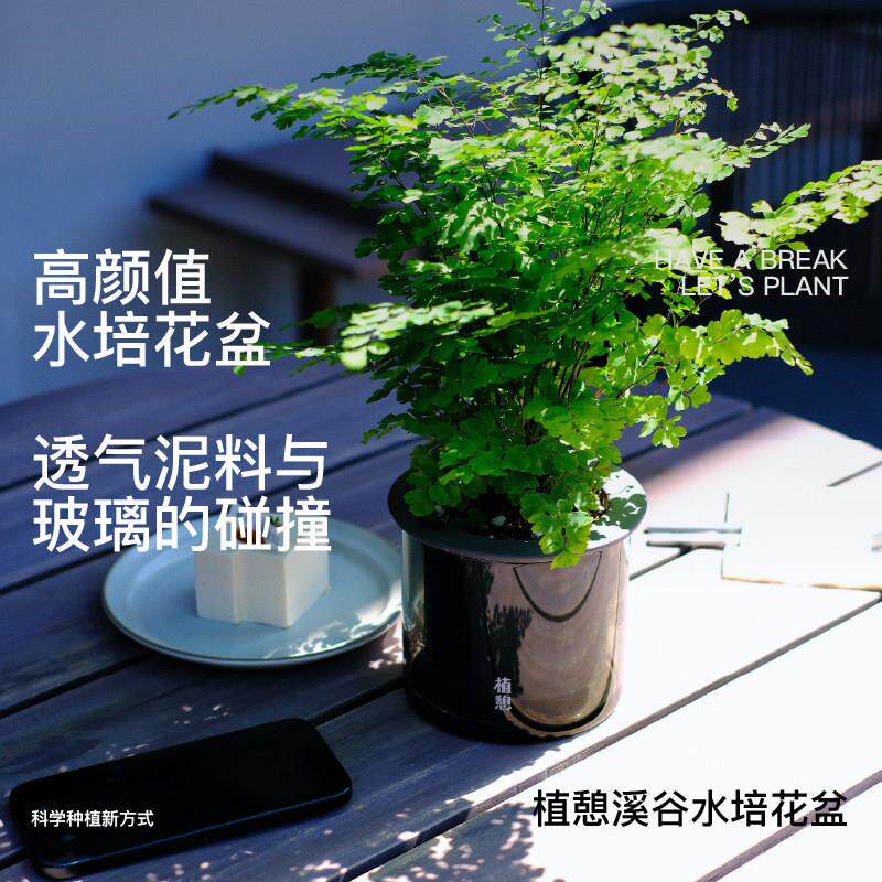 植憩溪谷水培花盆玻璃花盆水养植物自吸水花盆秋海棠桌面绿植包邮
