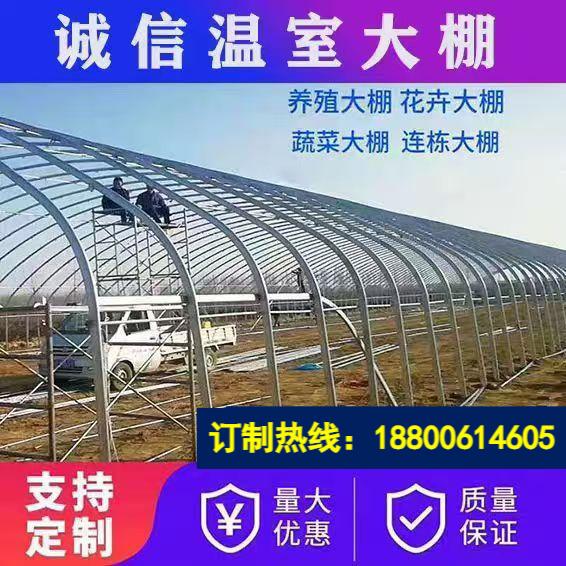 养殖大棚全套大棚骨架家用种植棚大棚专业养鸡羊牛猪大棚厂家直销
