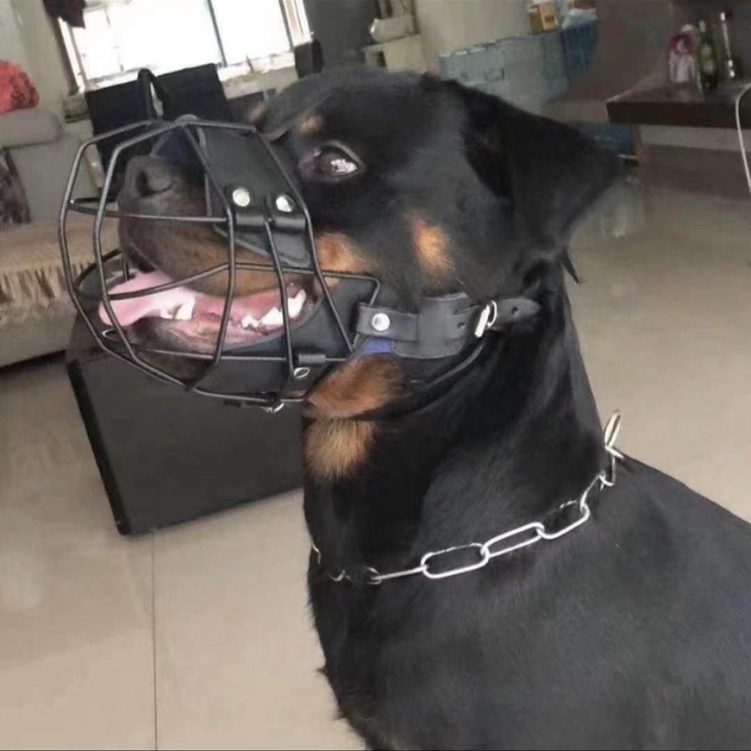 罗威纳专用口笼撞击嘴套大型犬防咬人训练狗嘴笼实战嘴罩训犬装备