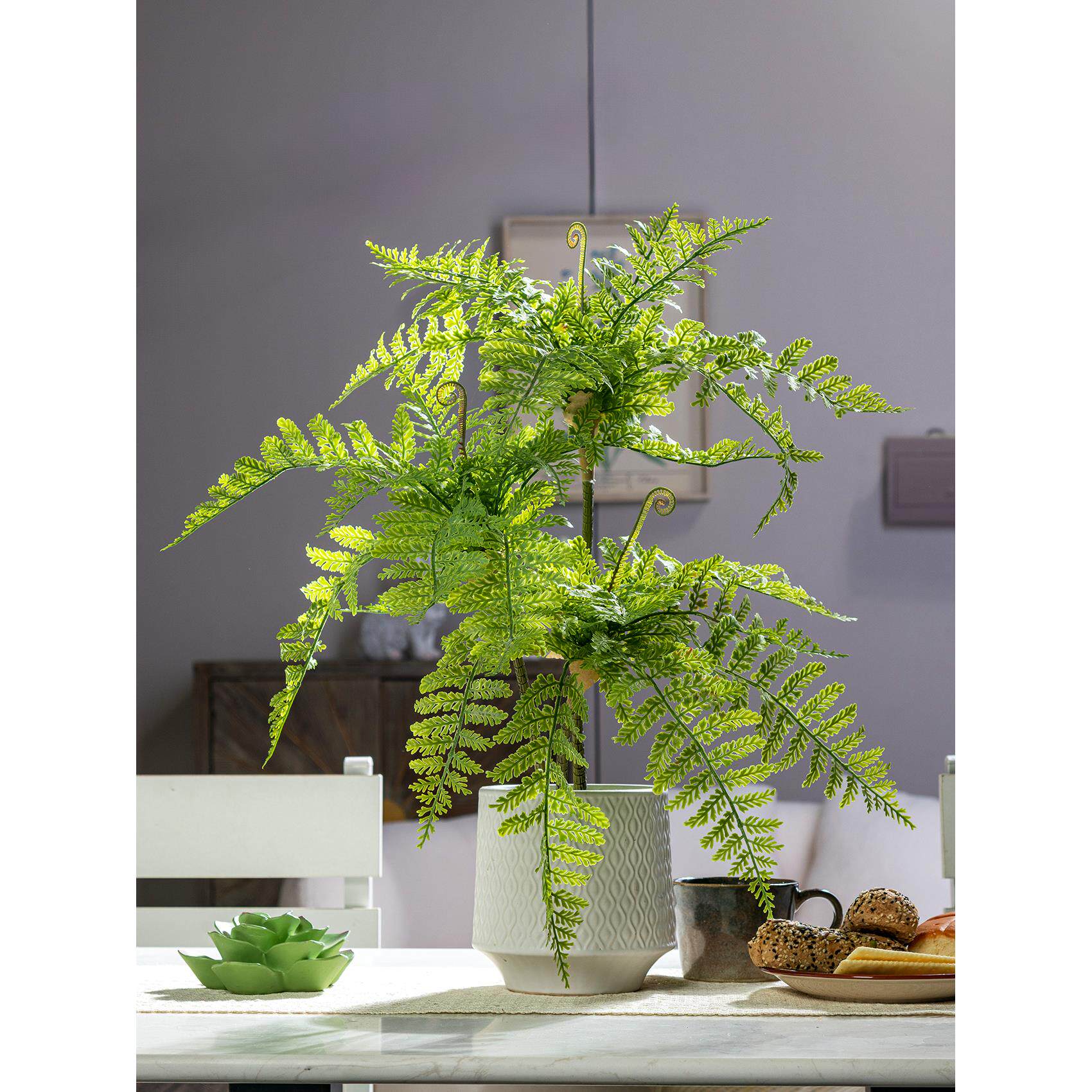 彷植物蕨类小盆栽彷绿色盆栽室内客厅绿色家居桌面彷生装饰摆件