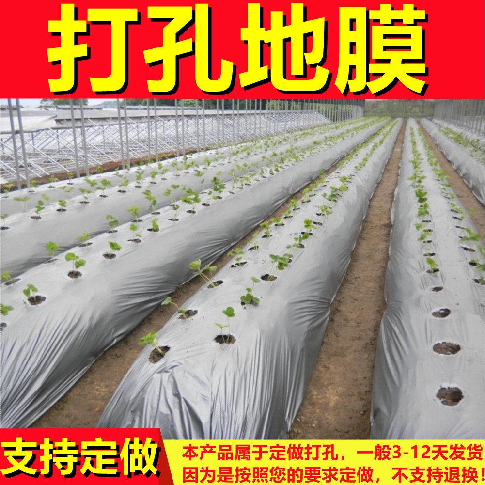 定制带洞眼农用塑料薄膜蔬菜双色打孔地膜银黑地膜防草率90%左右