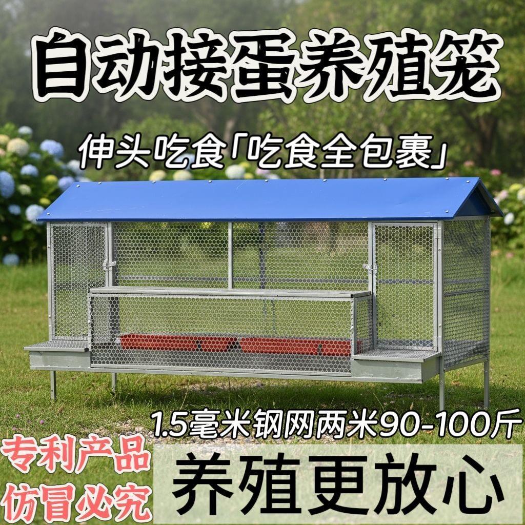 鸡笼家用室外新型防雨防黄鼠狼防鼠养殖鸡笼防啄鸡全防护下蛋鸡笼