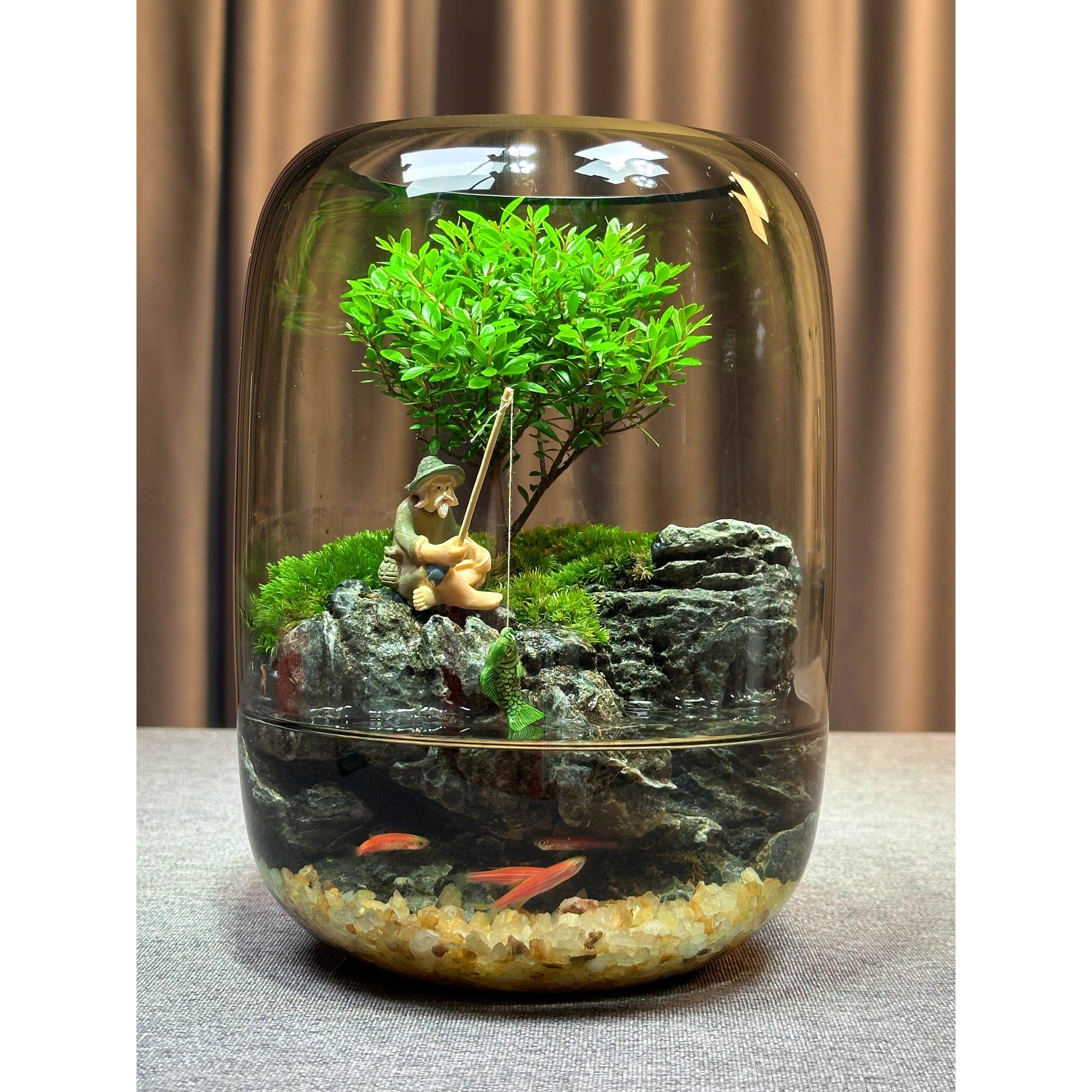 【年年有鱼】苔藓微景观办公室创意生态缸鱼缸桌面生态瓶摆件成品