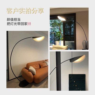 现代简约荷叶钓鱼灯客厅沙发旁边高级感氛围灯卧室床头立式落地灯