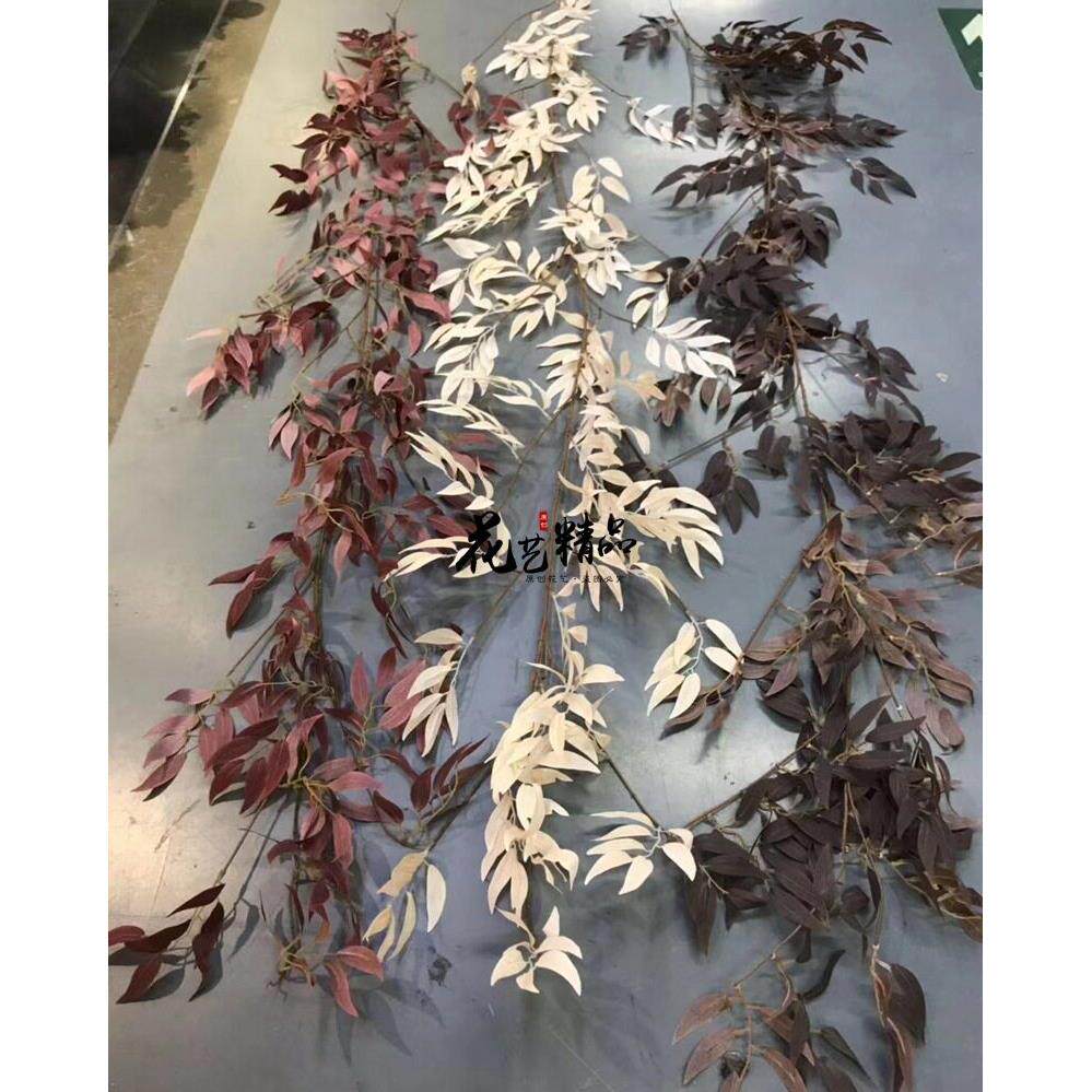 灰色咖色红色绿色长条柳叶藤蔓绿叶藤条壁挂装饰婚礼只/束婚庆