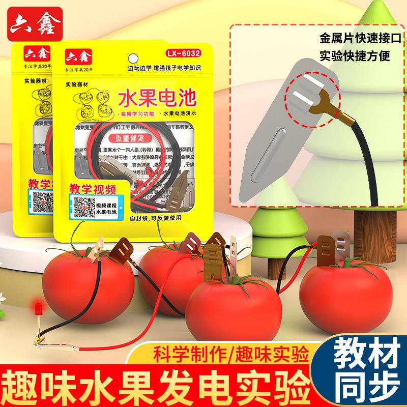 水果电池实验材料铜片锌片电极组装材料实验器材小学科学制作教具