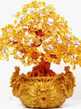 东海节高黄树 三龙水晶树 摇钱树发财树 家居摆件招财旺财
