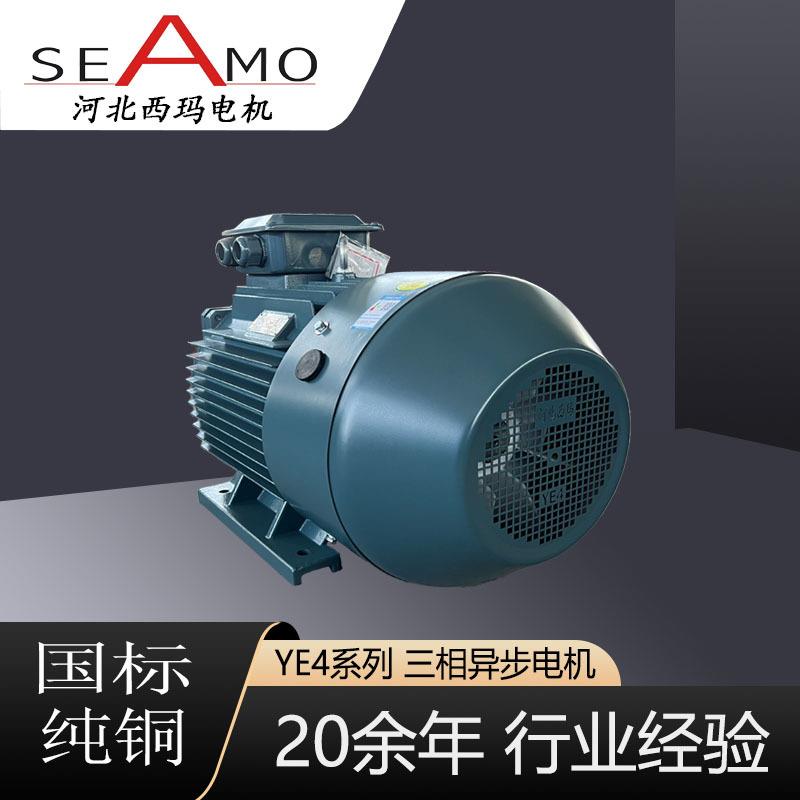河北西玛电机定制生产YE4-6极2.2-315KW超高效三相异步电动机