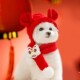 小狗新年针织围巾宠物保暖围脖泰迪比熊小型犬猫咪狗狗秋冬季 配饰
