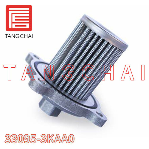 温州唐柴 燃油滤清器 滤芯 33095-3KAA0 适用于现代汽车过滤