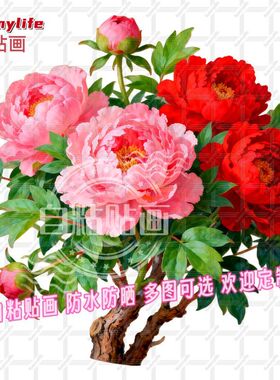 国色牡丹花吉祥繁荣昌盛平面自贴
