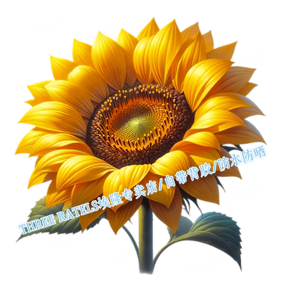 高清仿真向日葵自带背胶厨房贴纸贴画橱柜冰箱瓷砖贴画装饰贴画