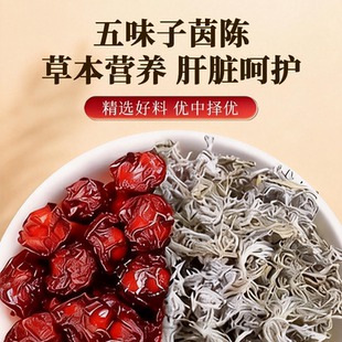 五味子茵陈养生茶熬夜加班喝酒应酬养肝调理护肝组合茶包泡茶养生