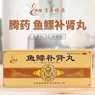 腾药鱼鳔补肾丸9g*10丸/盒头昏眼花腰膝酸软肾阳虚弱肾虚补肾亏