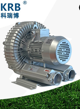 零售2HB610-AH26 380V3KW旋涡环形泵 木工吸料用高压风机厂家